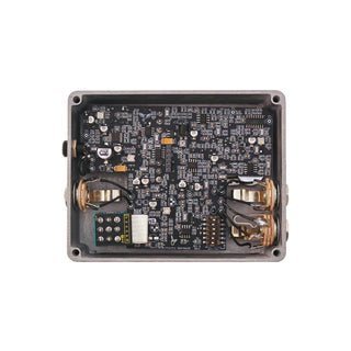 Fairfield Circuitry Meet Maude Analog Delay