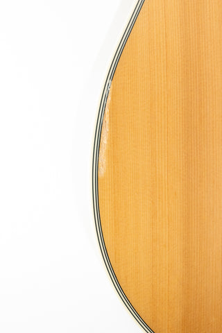 Used Takamine GD20CE Acoustic-Electric Dreadnought - Natural Satin - Ser. CC220414960