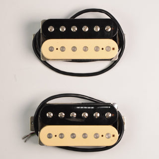Tom Holmes H450/H455 Zebra Pickups 4 Conductor Unpotted Alnico II