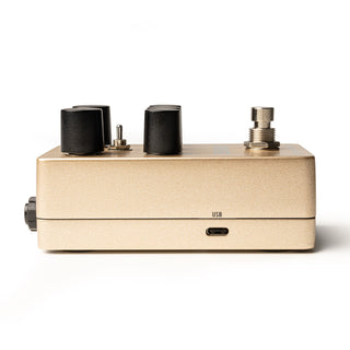 Universal Audio Heavenly Plate Reverb Pedal