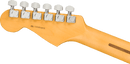 Fender American Professional II Stratocaster - Maple Fingerboard - Dark Night