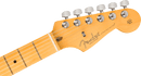 Fender American Professional II Stratocaster - Maple Fingerboard - Dark Night