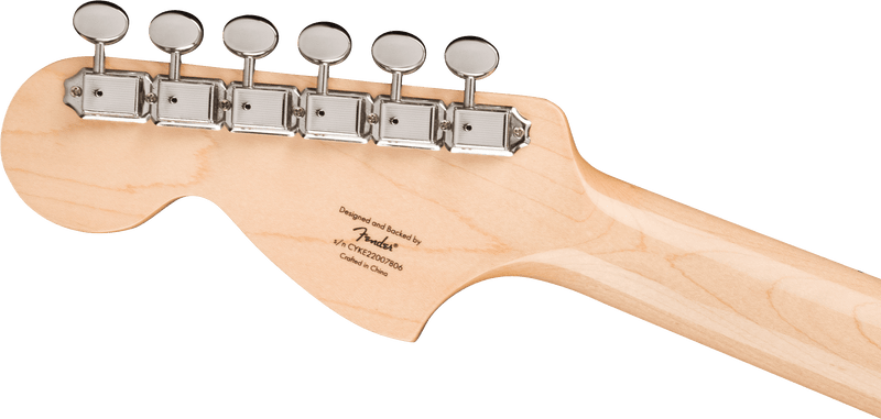 Squier Paranormal Esquire Deluxe - Metallic Black