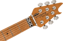 EVH Wolfgang Special QM - Sangria