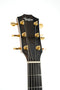 Taylor T5-LTD Limited Edition Taylor T5 - Honey Cherry with Hardshell Case - USED