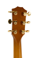 Taylor T5-LTD Limited Edition Taylor T5 - Honey Cherry with Hardshell Case - USED