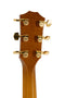 Taylor T5-LTD Limited Edition Taylor T5 - Honey Cherry with Hardshell Case - USED