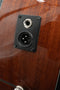 Ernie Ball Music Man Dark Ray - Obsidian Black - Ser. S08861