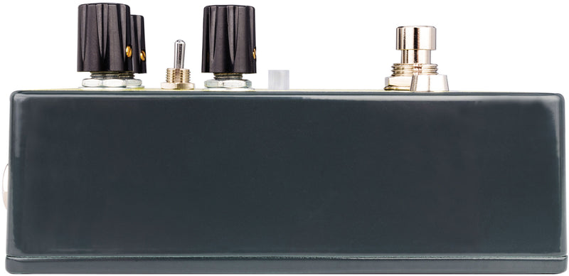 EarthQuaker Devices Ledges Reverb