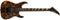 Jackson Custom Shop USA Special Edition Dinky - Roasted Rattler - PREORDER