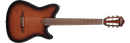 Ibanez FRH10N Thinline Nylon Acoustic Electric Guitar - Brown Sunburst