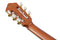 Ibanez FRH10N Thinline Nylon Acoustic Electric Guitar - Brown Sunburst