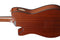 Ibanez FRH10N Thinline Nylon Acoustic Electric Guitar - Brown Sunburst