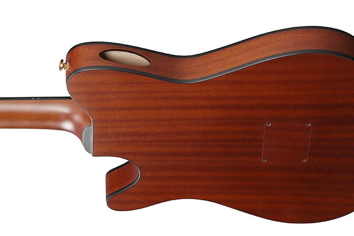 Ibanez FRH10N Thinline Nylon Acoustic Electric Guitar - Brown Sunburst