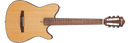 Ibanez FRH10N Thinline Nylon Acoustic Electric Guitar - Natural