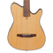 Ibanez FRH10N Thinline Nylon Acoustic Electric Guitar - Natural