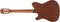 Ibanez FRH10N Thinline Nylon Acoustic Electric Guitar - Natural