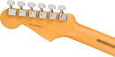 Fender American Professional II Stratocaster - Dark Night