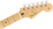 Fender Player Stratocaster - Maple Fingerboard - Capri Orange