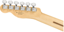 Fender Player Telecaster Maple Fingerboard - Butterscotch Blonde