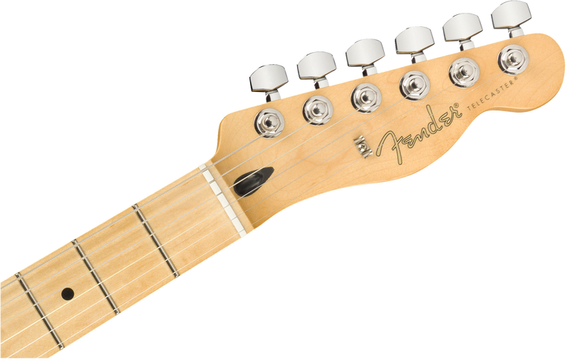 Fender Player Telecaster Maple Fingerboard - Butterscotch Blonde
