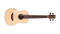 Cordoba Mini II Bass EB-E - Safe Haven Music