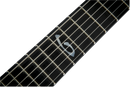 Jackson USA Signature Christian Andreu Rhoads - Satin Black - SPECIAL ORDER