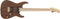 Charvel Pro-Mod DK24 HH HT M Mahogany with Figured Walnut - Natural - Safe Haven Music