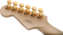 Charvel Pro-Mod DK24 HH HT M Mahogany with Figured Walnut - Natural