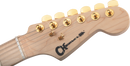 Charvel Pro-Mod DK24 HH HT M Mahogany with Figured Walnut - Natural