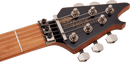 EVH Wolfgang Standard QM - Transparent Green