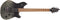 EVH Wolfgang Standard QM - Black Fade - Safe Haven Music Guitars