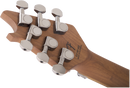 EVH Wolfgang Standard QM - Black Fade