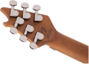 EVH Wolfgang Standard QM - Northern Lights