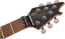 EVH Wolfgang Standard QM - Northern Lights