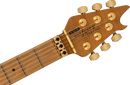 EVH Wolfgang Special QM - Purple Burst
