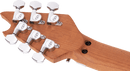 EVH Wolfgang Special QM - Charcoal Burst