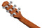 Ibanez AAD50CE - Natural Low Gloss