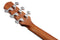 Ibanez AAD50 - Grand Dreadnought Acoustic Electric Guitar