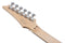 Ibanez PIA3761C Steve Vai Signature Electric Guitar - Blue Powder