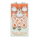 Earthquaker Devices Spatial Delivery Sample & Hold Envelope Filter V2