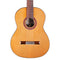 Cordoba C7 CD Classical Guitar - Safe Haven Music
