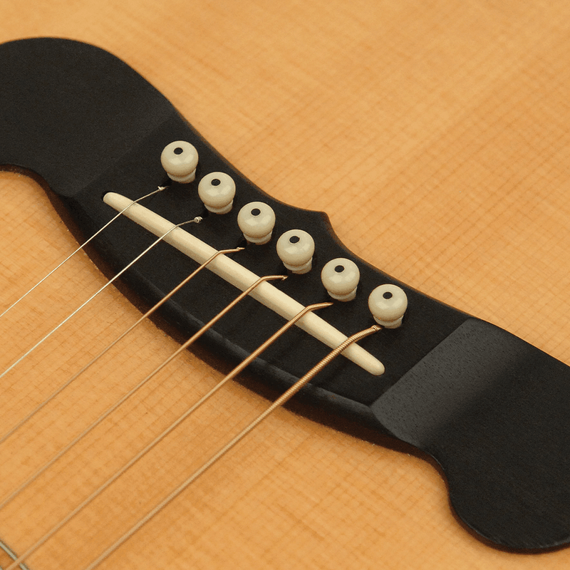 D'Addario Injected Molded Bridge Pins with End Pin, Set of 7, Ivory with Ebony Dot - Safe Haven Music