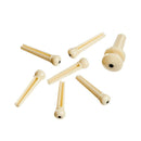D'Addario Injected Molded Bridge Pins with End Pin, Set of 7, Ivory with Ebony Dot - Safe Haven Music