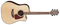 Takamine GD93CE Acoustic-Electric Guitar - Natural