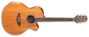 Takamine G70 Series GN77KCE - Natural