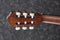 Ibanez AEG50N Acoustic Electric Classical Guitar - Black