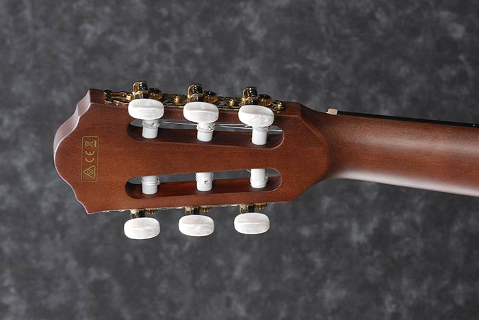 Ibanez AEG50N Acoustic Electric Classical Guitar - Black